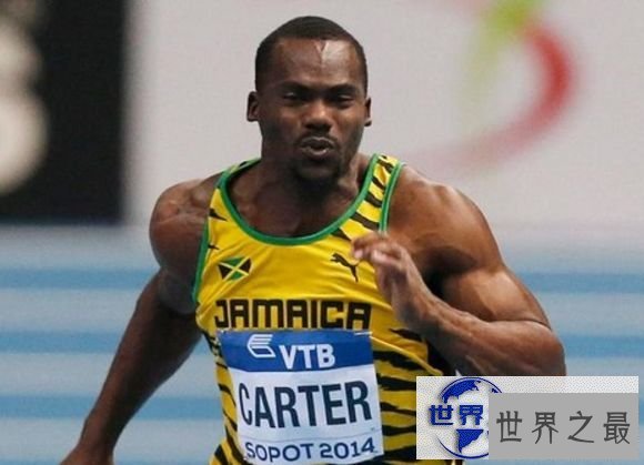 内斯塔·卡特尔