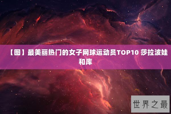 【图】最美丽热门的女子网球运动员TOP10 莎拉波娃和库