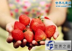 【图】最脏的水果，草莓(有着20中农药残留)