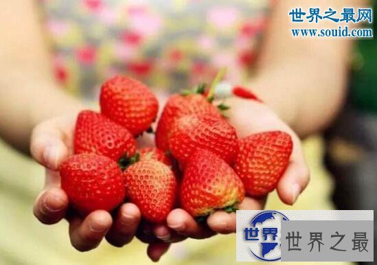 【图】最脏的水果，草莓(有着20中农药残留)
