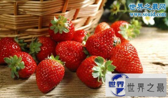 【图】最脏的水果，草莓(有着20中农药残留)