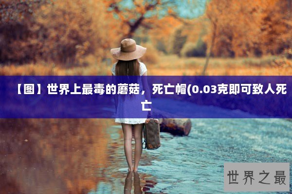 【图】世界上最毒的蘑菇，死亡帽(0.03克即可致人死亡