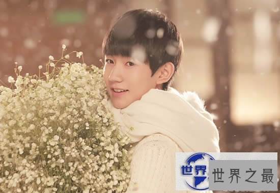 【图】小鲜肉男星最帅排行榜，TFBOYS王俊凯被看好