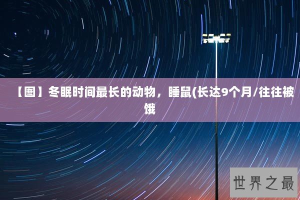 【图】冬眠时间最长的动物，睡鼠(长达9个月/往往被饿