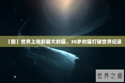 【图】世界上年龄最大的猫，30岁的猫打破世界纪录