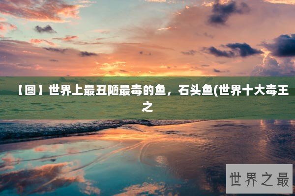 【图】世界上最丑陋最毒的鱼，石头鱼(世界十大毒王之