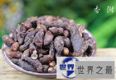 【图】听说过香草和香包，但是你听说过香附吗？