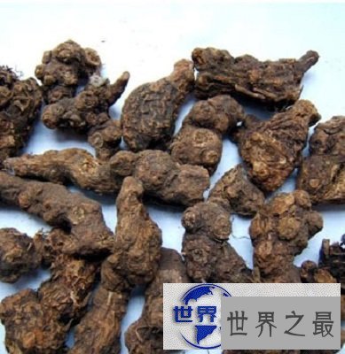 【图】听说过香草和香包，但是你听说过香附吗？