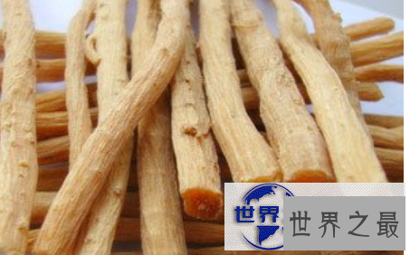 【图】高价值的中草药牛膝，活血通经用处大