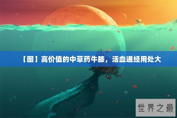 【图】高价值的中草药牛膝，活血通经用处大
