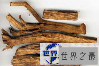 【图】高价值的中草药牛膝，活血通经用处大