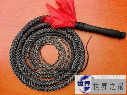 【图】鞭打——让你触目惊心的视觉体验，一起来了解