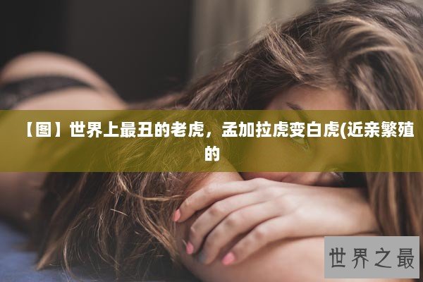 【图】世界上最丑的老虎，孟加拉虎变白虎(近亲繁殖的