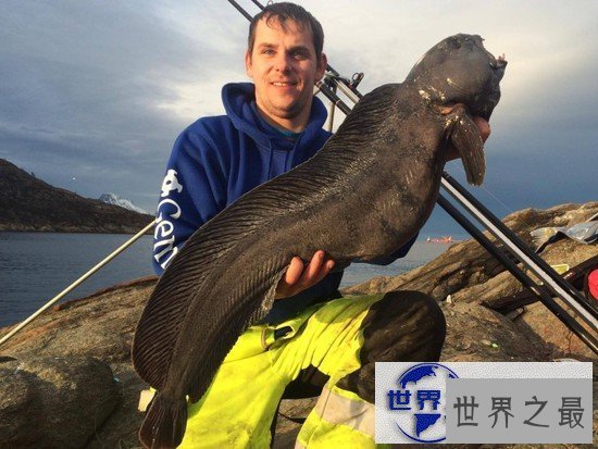 【图】世界上最大的比目鱼，重达468斤(用鱼竿钓起)