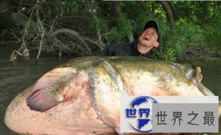 【图】世界上最大的比目鱼，重达468斤(用鱼竿钓起)