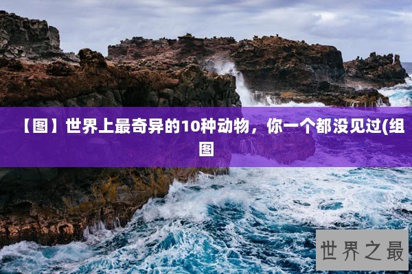 【图】世界上最奇异的10种动物，你一个都没见过(组图