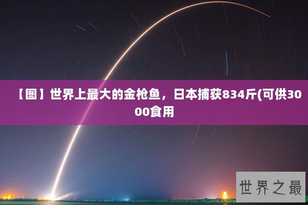 【图】世界上最大的金枪鱼，日本捕获834斤(可供3000食用