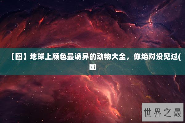 【图】地球上颜色最诡异的动物大全，你绝对没见过(图