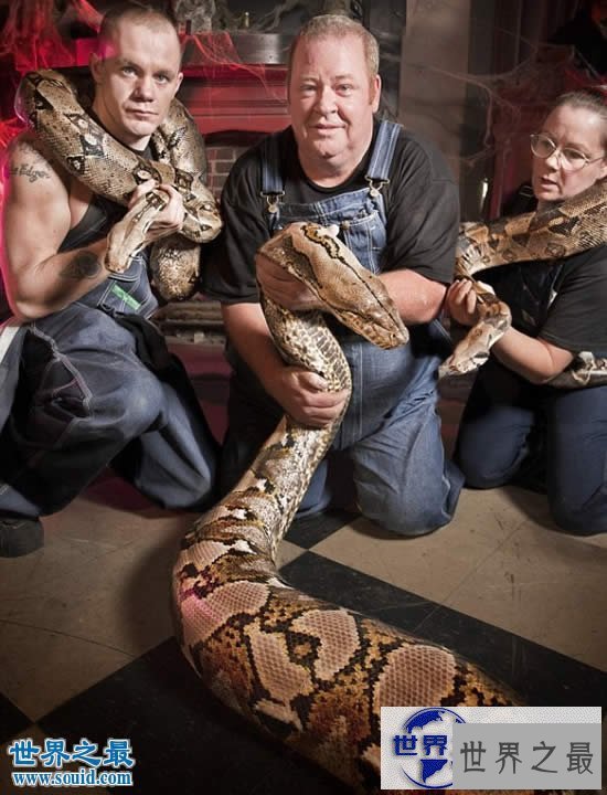 【图】世界上最大的圈养蛇，长7.62米/重272斤