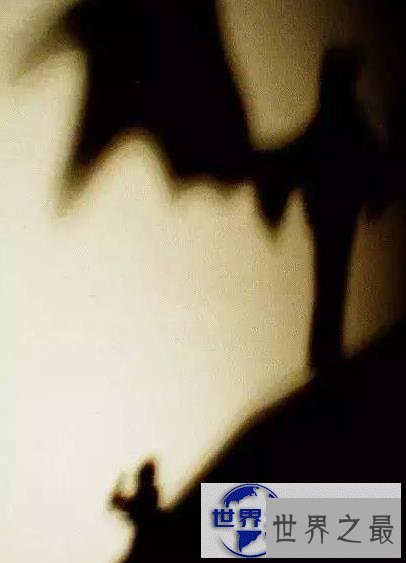 【图】全球十大传说中的恐怖生物，未知世界生物体