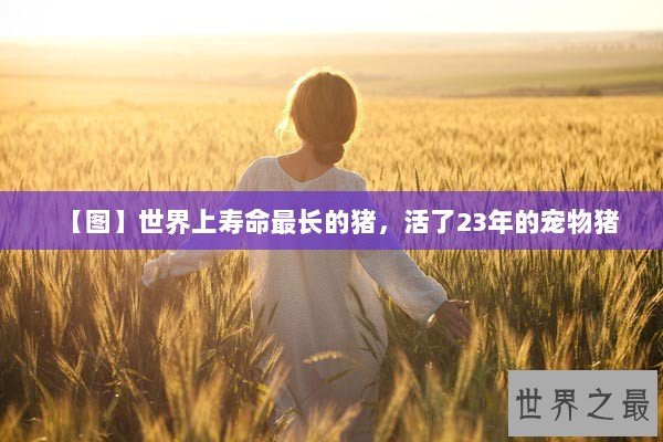 【图】世界上寿命最长的猪，活了23年的宠物猪