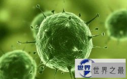 【图】地球上最小的生物，盘点世界上最小的动物
