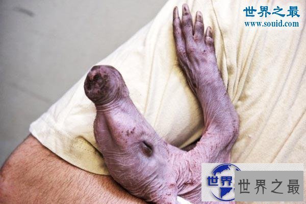 【图】世界上最可怕的生物，婴儿食蚁兽(地球上的怪物