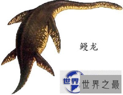 【图】恐龙时代已不复存在，但是你对恐龙的种类了解