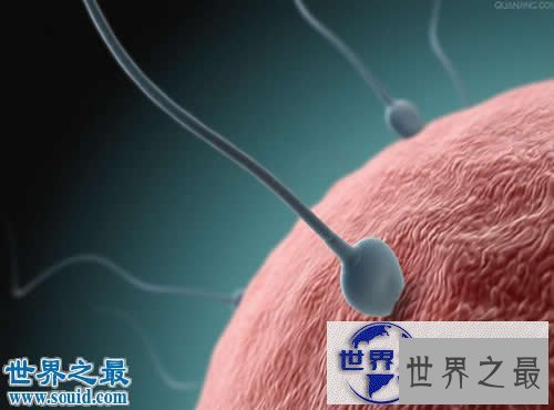 【图】世界上精液最多的男人，一个男人有多少精液(