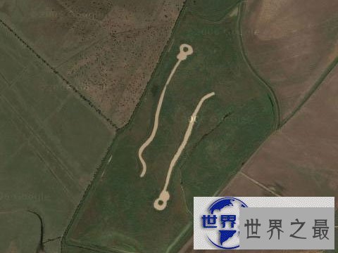 【图】世界上最大的精子