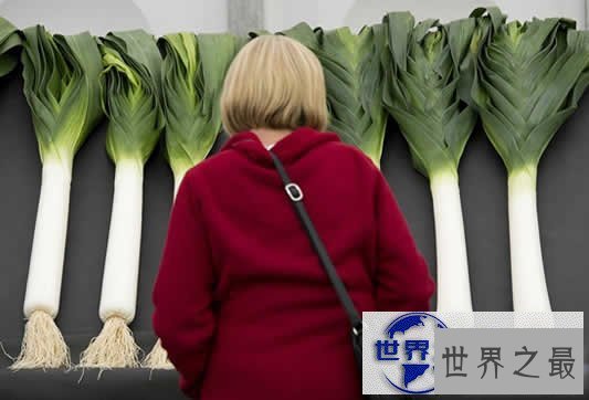 【图】英国举行巨型蔬菜大赛,蔬菜的世界之最