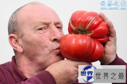 【图】英国举行巨型蔬菜大赛,蔬菜的世界之最