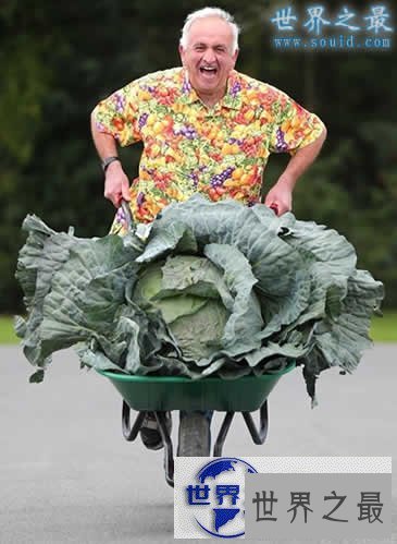 【图】英国举行巨型蔬菜大赛,蔬菜的世界之最