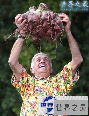 【图】英国举行巨型蔬菜大赛,蔬菜的世界之最