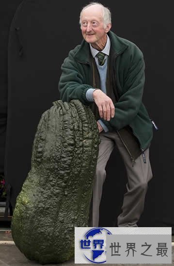 【图】英国举行巨型蔬菜大赛,蔬菜的世界之最