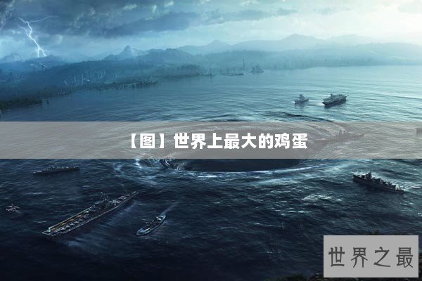 【图】世界上最大的鸡蛋