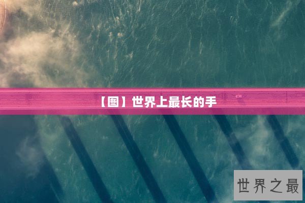 【图】世界上最长的手