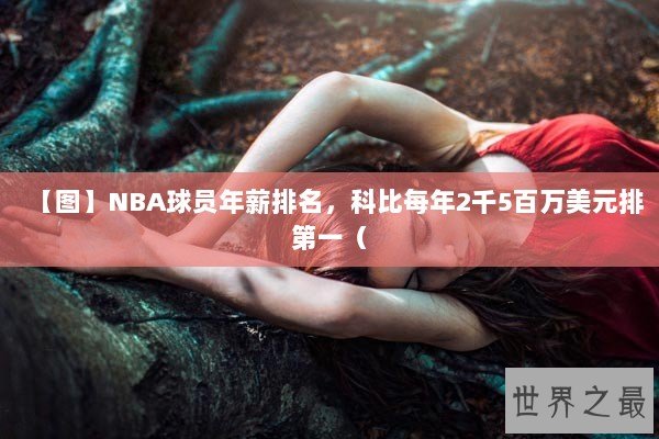 【图】NBA球员年薪排名，科比每年2千5百万美元排第一（