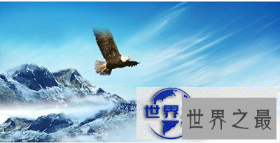 【图】展望未来的句子 憧憬是最美好的愿景