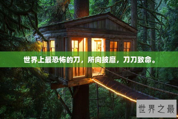 世界上最恐怖的刀，所向披靡，刀刀致命。