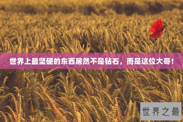 世界上最坚硬的东西居然不是钻石，而是这位大哥！